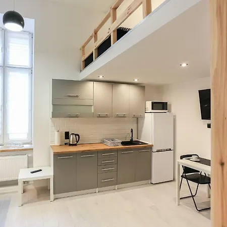 Appartement W Sercu Miasta Łódź